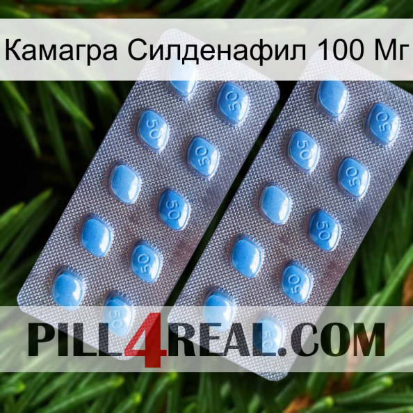 Камагра Силденафил 100 Мг viagra4.jpg